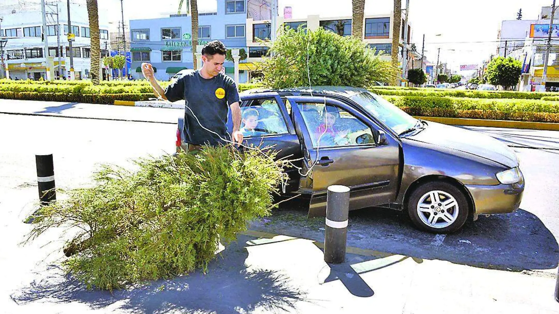 arbol navidad Foto- gobierno de Neza